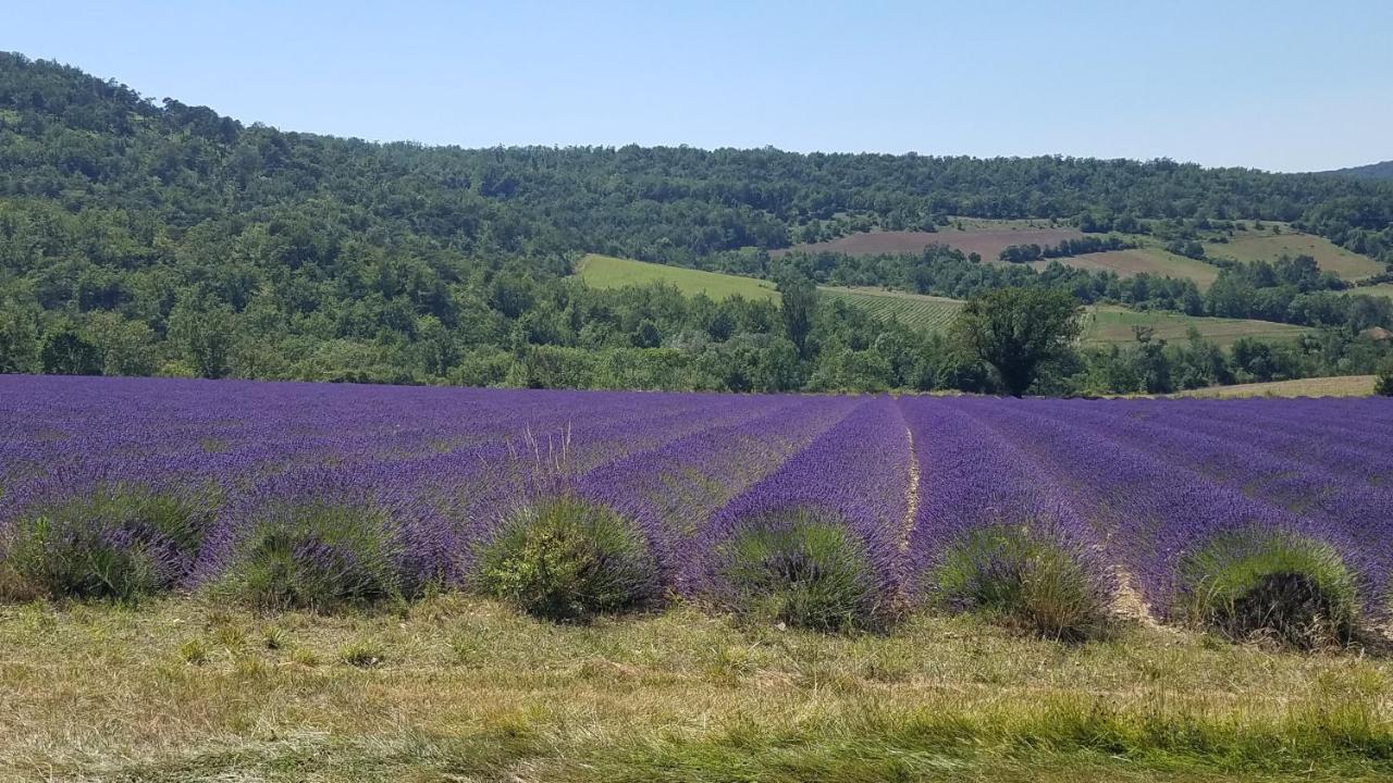 Готель La Fontaine Au Loup Saint-Maurice-sur-Eygues Екстер'єр фото